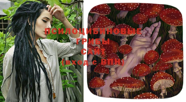 стаф Хадыженск